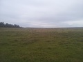 #3: VISTA NORTE. North view