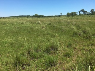 #1: The Confluence from 20 m distance