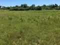 #3: View to the West