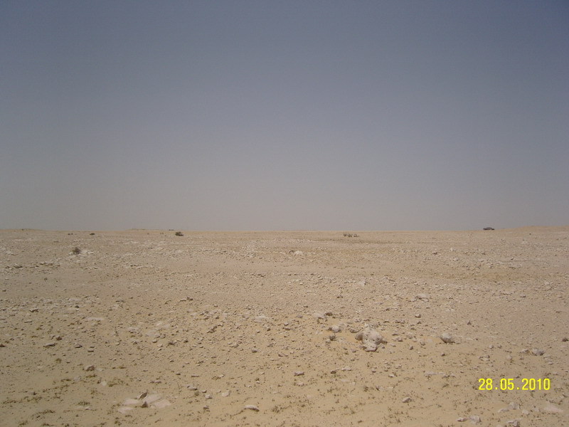 Vista Sur - View south