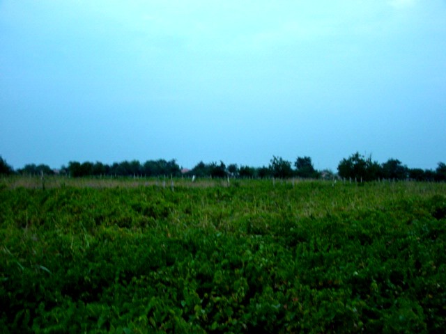 Eastwards/Spre est