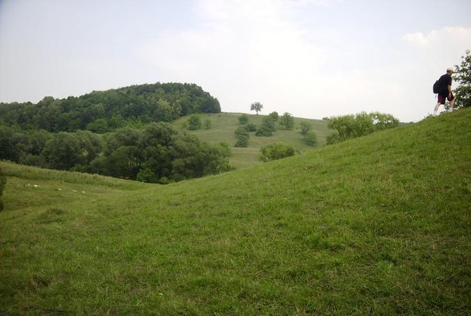 Blick nach Osten / View east