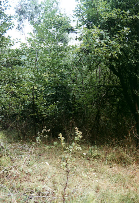 Picture of the confluence from the north-west