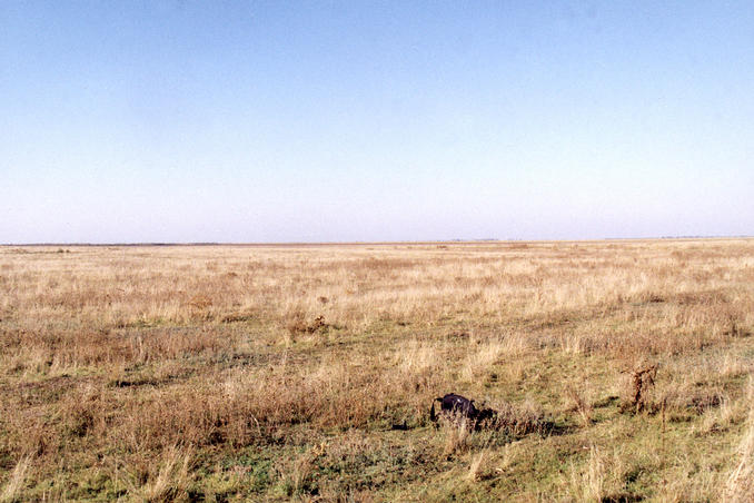North
