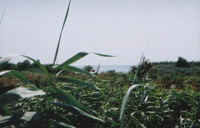 Looking South to the confluence