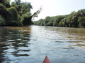#6: Canoeing on the border river Maros - Mureș