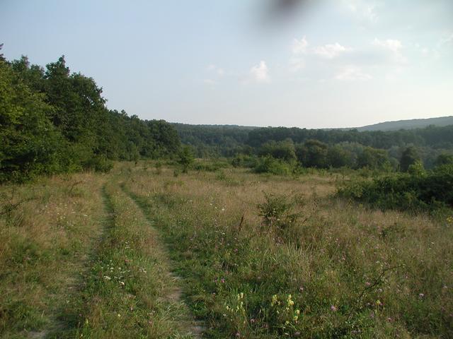 Blick in Richtung Punkt (650m) / View to the point (650m)