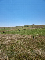 #4: View East