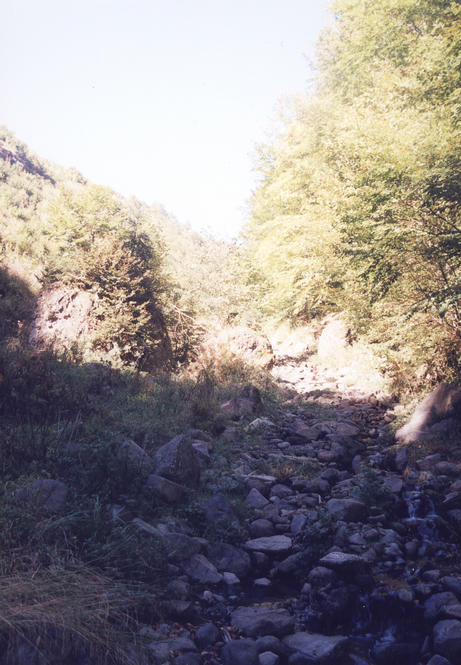 The creek