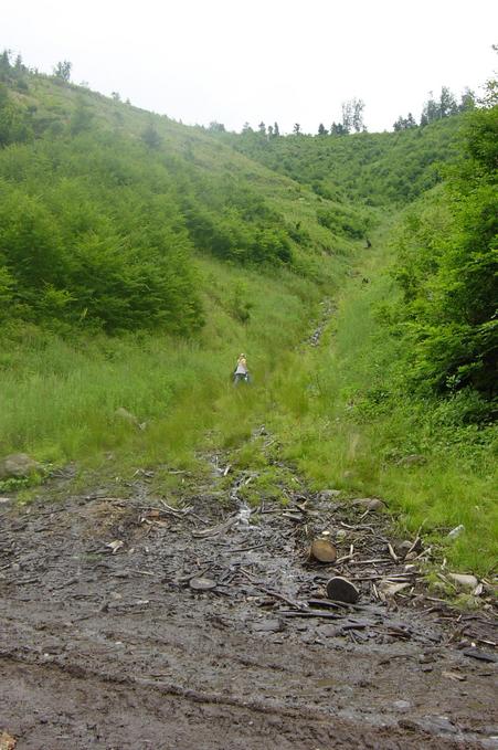 View up the stream (as Photo 2 of first visit)