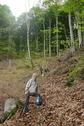 #3: View up to ridge on way back down (just above picnic spot)