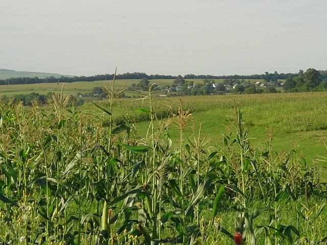 from the confluence looking to the north