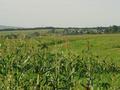 #2: from the confluence looking to the north