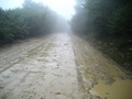 #8: Road to confluence.