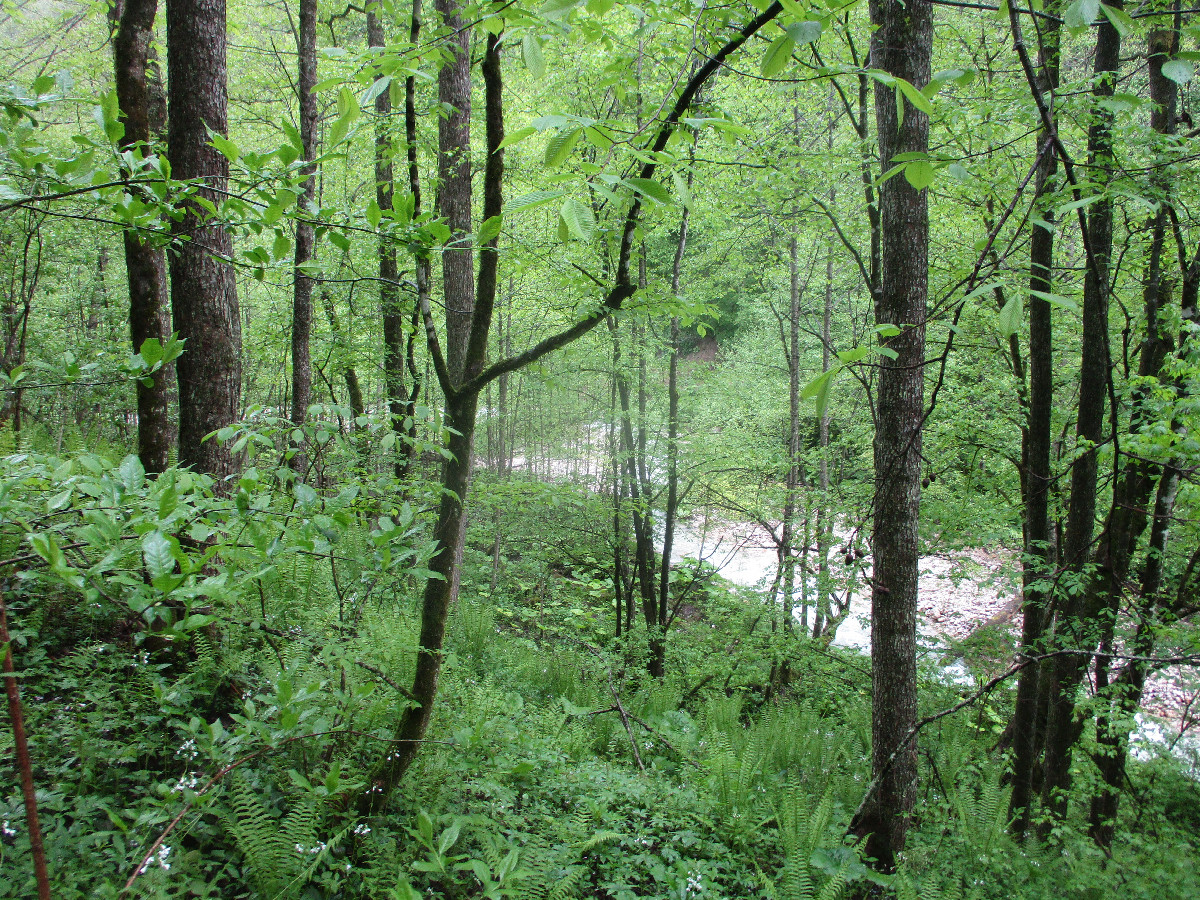 DCP 43 degrees north, 44 degrees east (visit 1) Picture 4