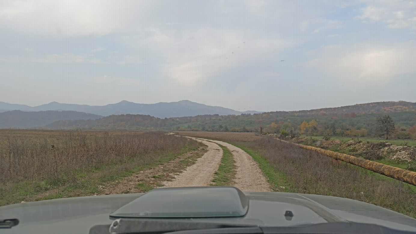 Road thru the field