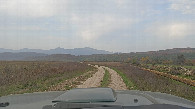 #6: Road thru the field