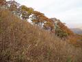 #4: View east