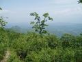 #7: View from the top of mountain Chandolaz