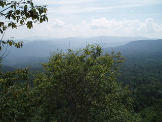 #1: Лазовский заповедник -- Lazovskiy preserve