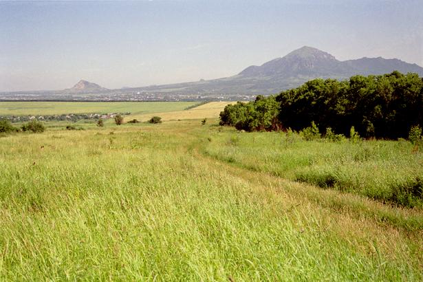 Вид на север / View North from the confluence point