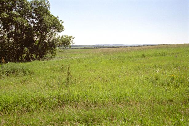 Вид на восток / View East from the confluence point