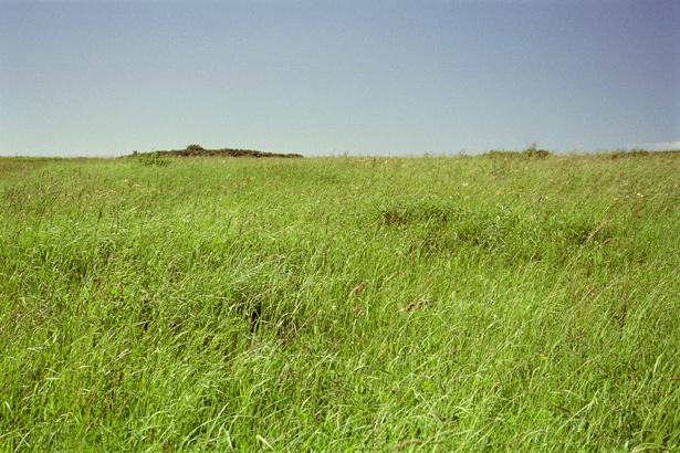 Вид на юг / View South from the confluence point