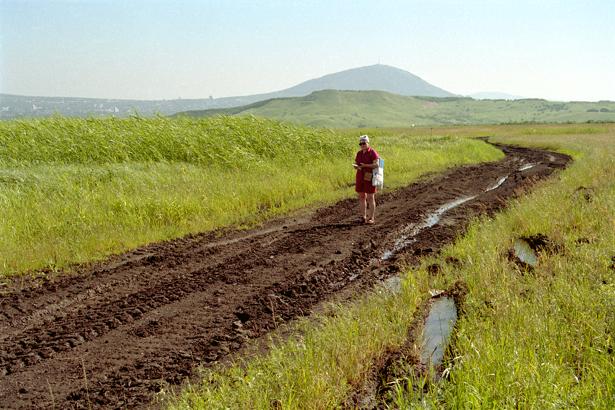 Тракторная дорога / Tractor road