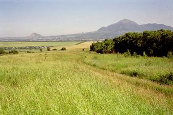 #1: Вид на север / View North from the confluence point