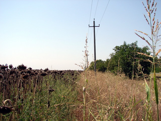 View from CP to the West