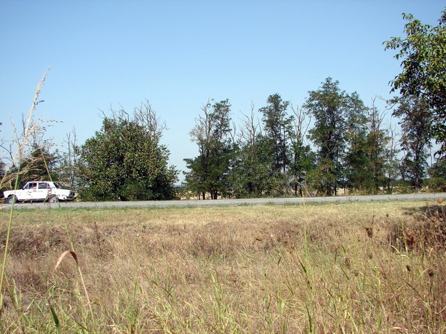 View from CP to the North.