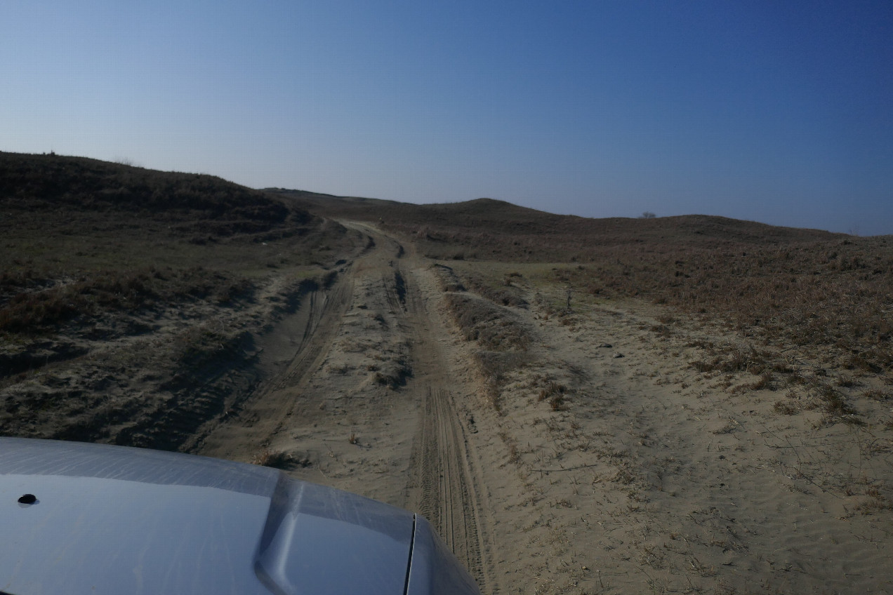 Полевая дорога / Field road