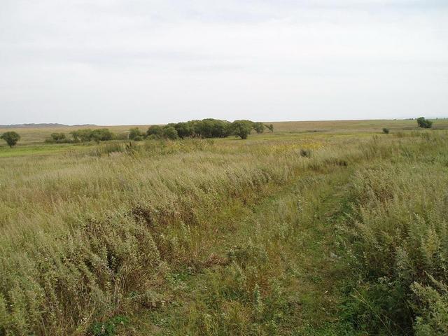 View of the confluence from 100 meters