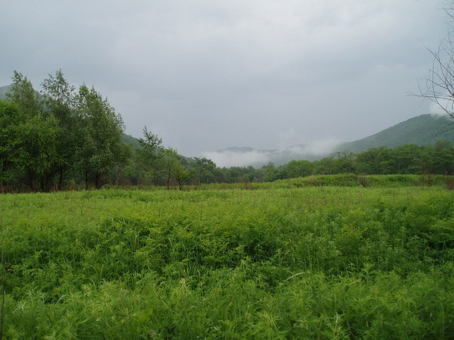 Mist over the river/Туман над рекой