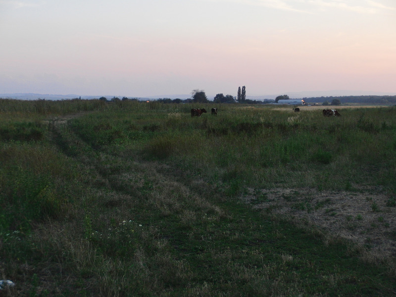 Farm one can spot looking South West