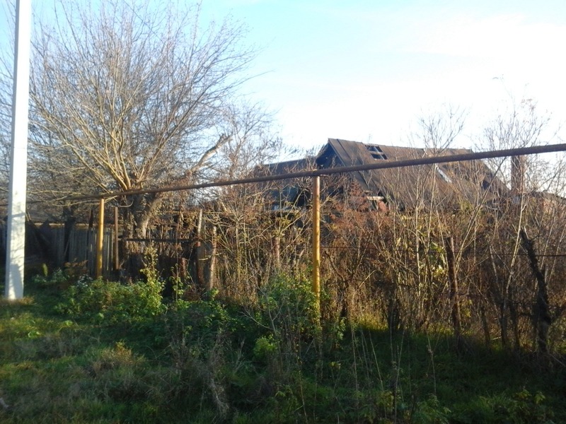 East