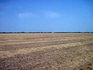 #1: North view
