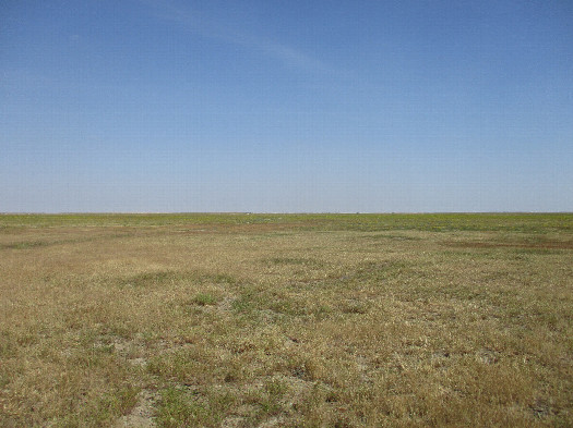 #1: North view