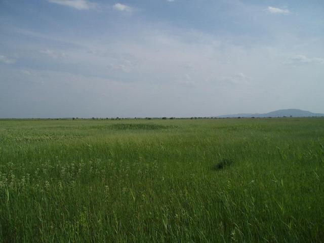 Вид на юг -- View to the South