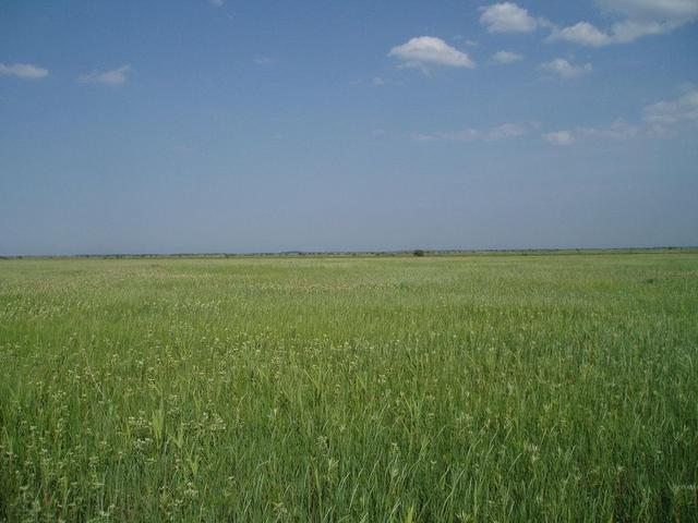 Вид на запад -- View to the West