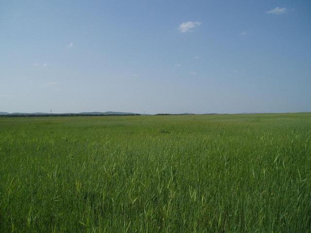 Вид на север -- View to the North