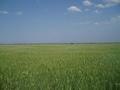 #3: Вид на запад -- View to the West