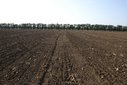 #3: South view