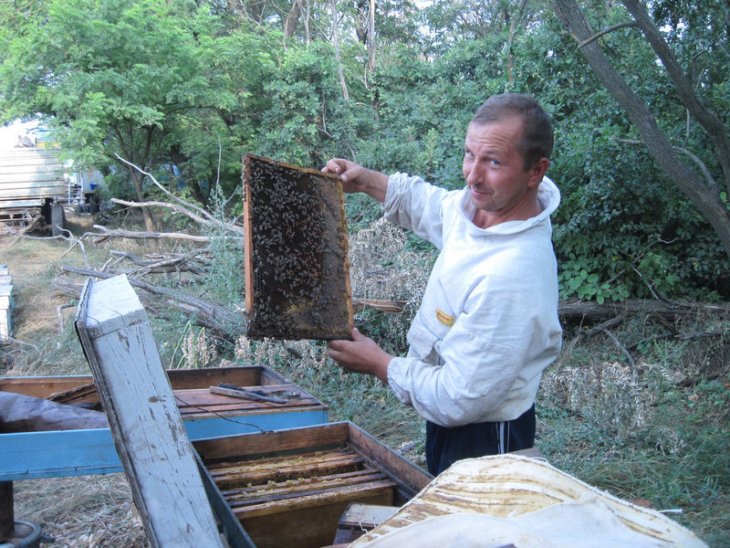 Beekeepers