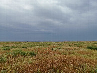 #2: East view