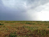 #3: South view