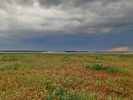 #4: West view