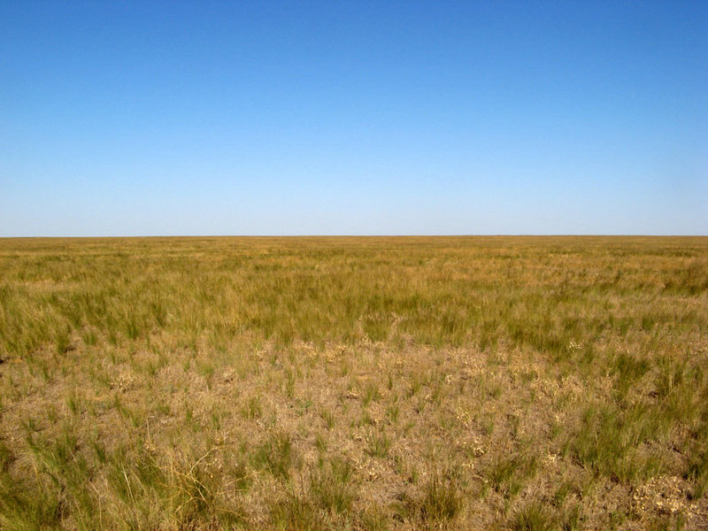 View to the East