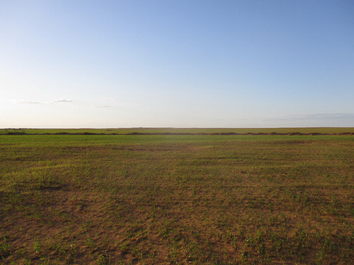 North view