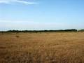 #3: Вид на дорогу откуда мы приехали -- To the road (north-east)